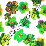 Colour:D