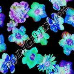 Colour:F