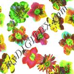 Colour:K