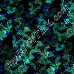 Colour:F