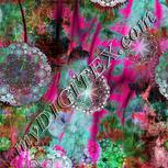 Colour:B