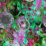 Colour:C