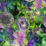 Colour:D