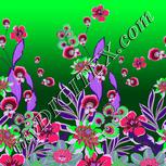 Colour:B