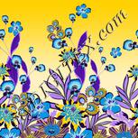 Colour:F