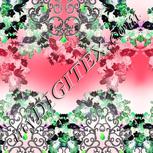 Colour:F