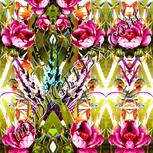 Colour:A