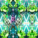 Colour:C