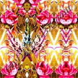 Colour:J