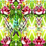 Colour:K