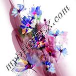 Colour:A