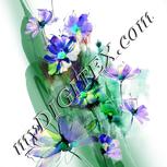 Colour:D