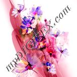 Colour:J