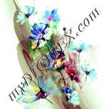 Colour:K
