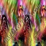 Colour:A