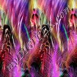 Colour:B