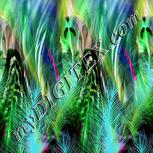 Colour:C