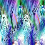Colour:F