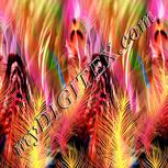 Colour:J