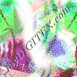 Colour:D