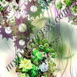 Colour:D