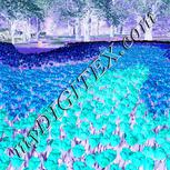 Colour:F
