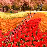 Colour:J