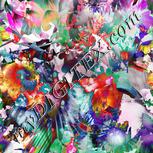 Colour:B