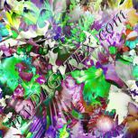 Colour:D
