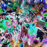 Colour:F
