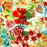 Colour:K