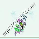 Colour:C
