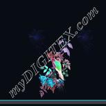 Colour:F