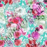 Colour:B