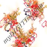 Colour:J