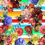 Colour:A