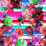 Colour:B