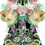 Colour:B