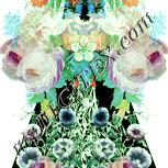 Colour:K