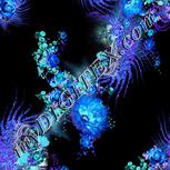 Colour:F