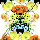 Colour:K