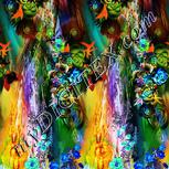 Colour:F