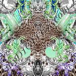 Colour:A