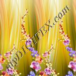 Colour:A