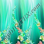 Colour:C