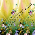 Colour:A