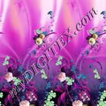 Colour:B