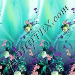 Colour:C