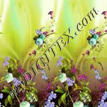 Colour:D