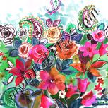 Colour:B